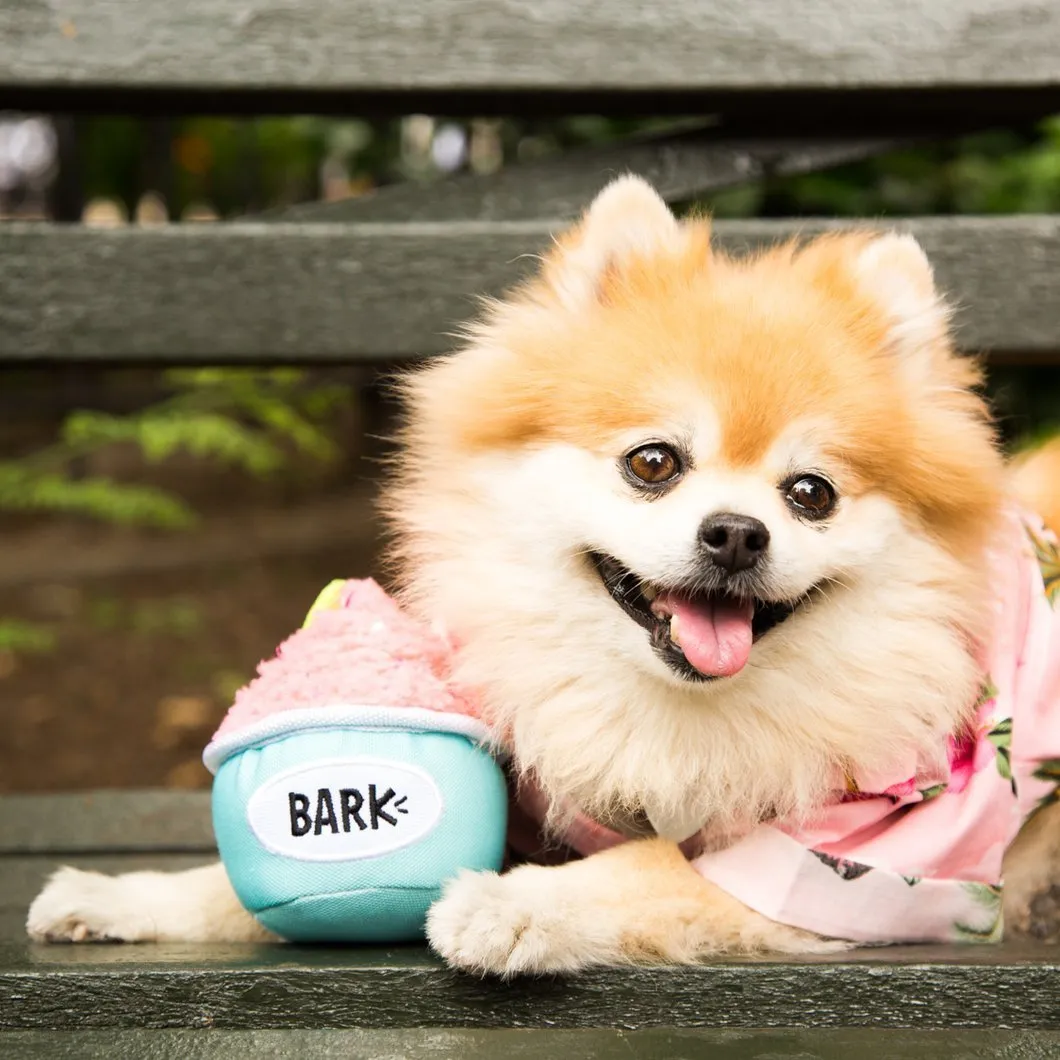 $18 ONLY: BarkShop Lotsa Licks Froyo Dog Plush Toy